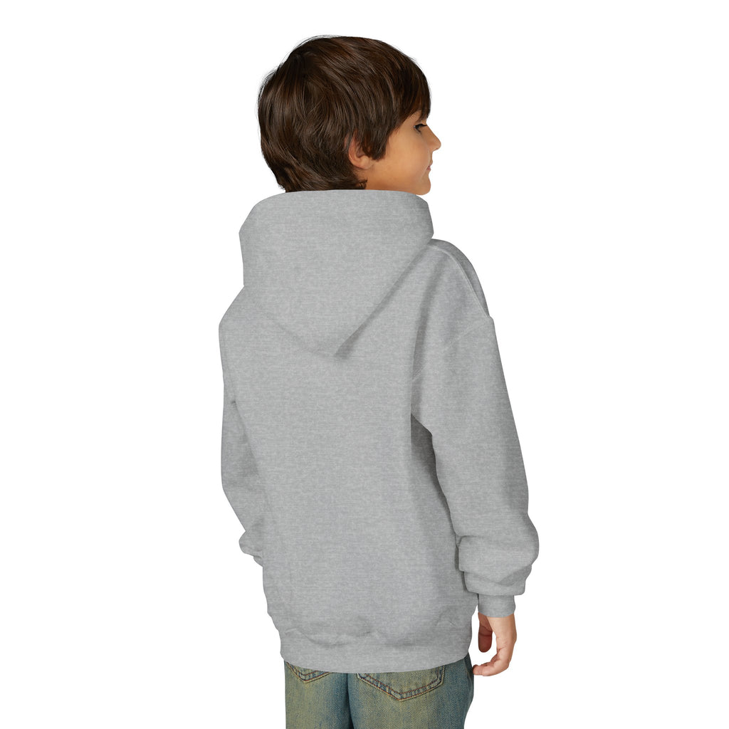 Rare Lab youth hoodie: small Rare Lab owl logo on the chest