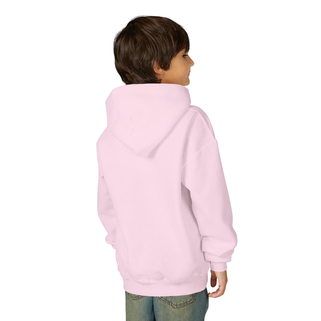 Rare Lab youth hoodie: small Rare Lab owl logo on the chest
