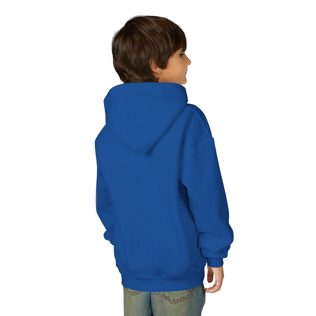 Rare Lab youth hoodie: small Rare Lab owl logo on the chest