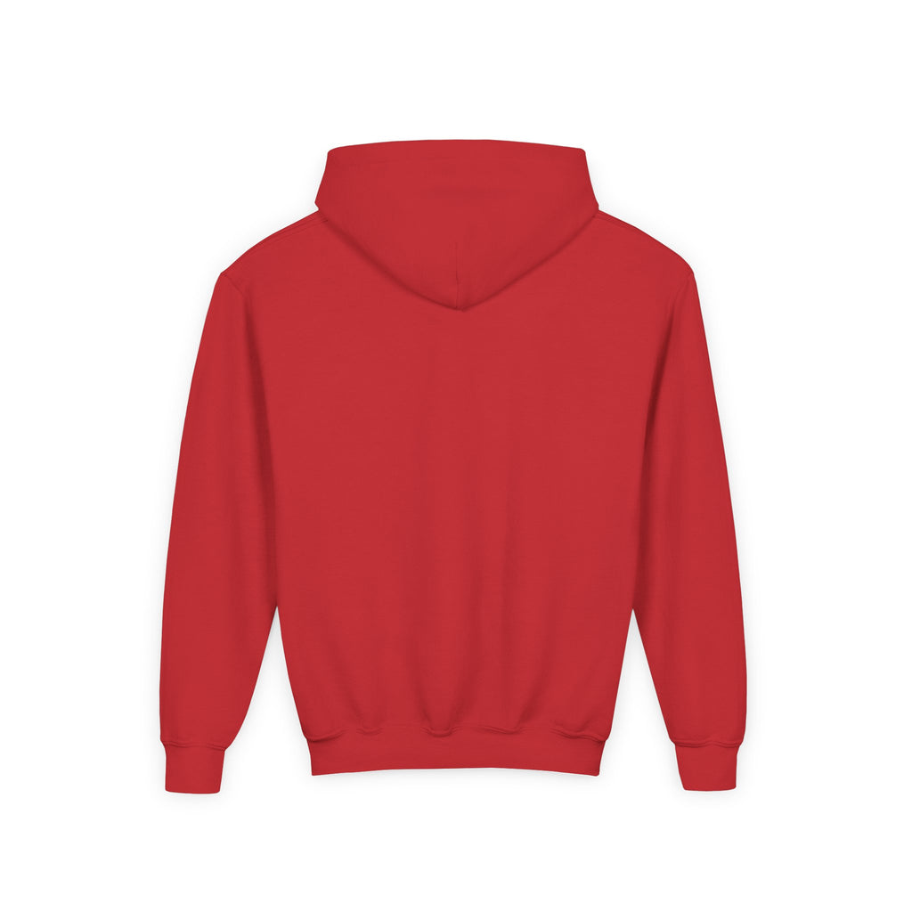 Rare Lab youth hoodie: small Rare Lab owl logo on the chest