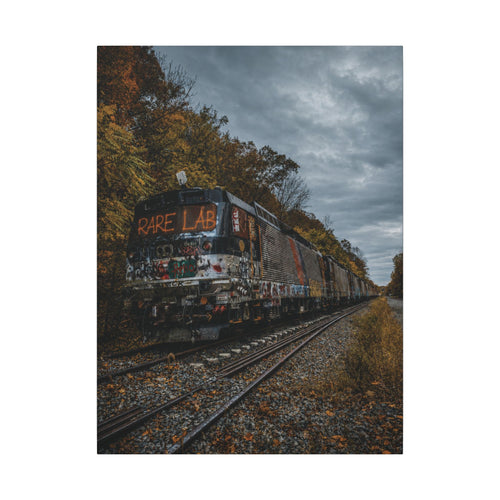 Rare Lab Graffiti Train canvas: a graffiti-covered train under a brooding sky with golden autumn trees